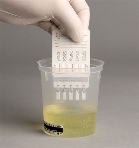 carry clean urine bag bottle drug test|how to store urine for drug tests.